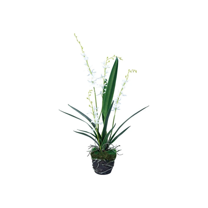 Faux Orchid w/ Faux Moss & Exposed Roots Faux Florals Creative Co-Op 