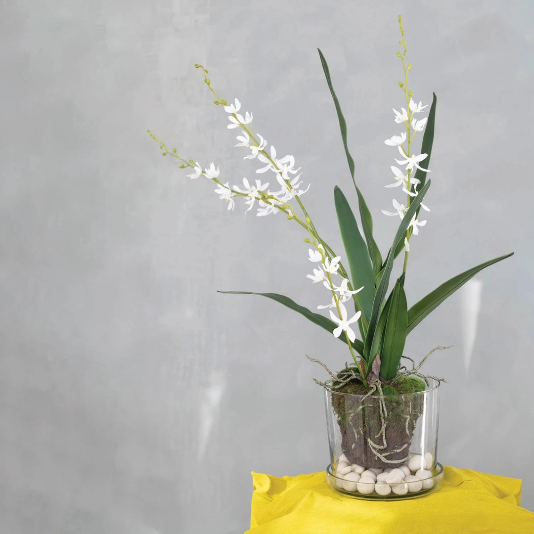 Faux Orchid w/ Faux Moss & Exposed Roots Faux Florals Creative Co-Op 