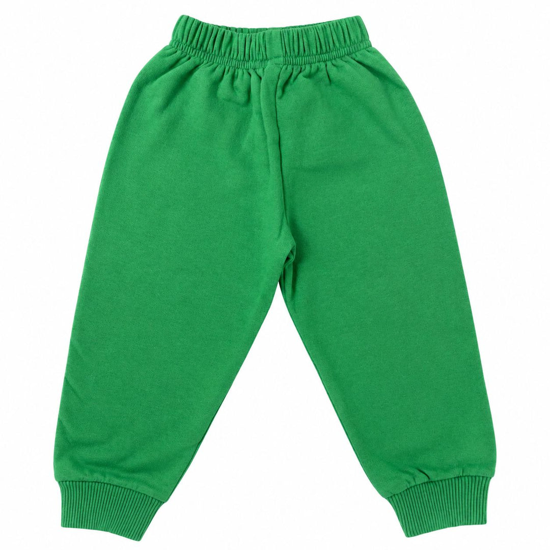 Fleece Solid Sweatpants - Kelly Green Boy Pants Luigi 