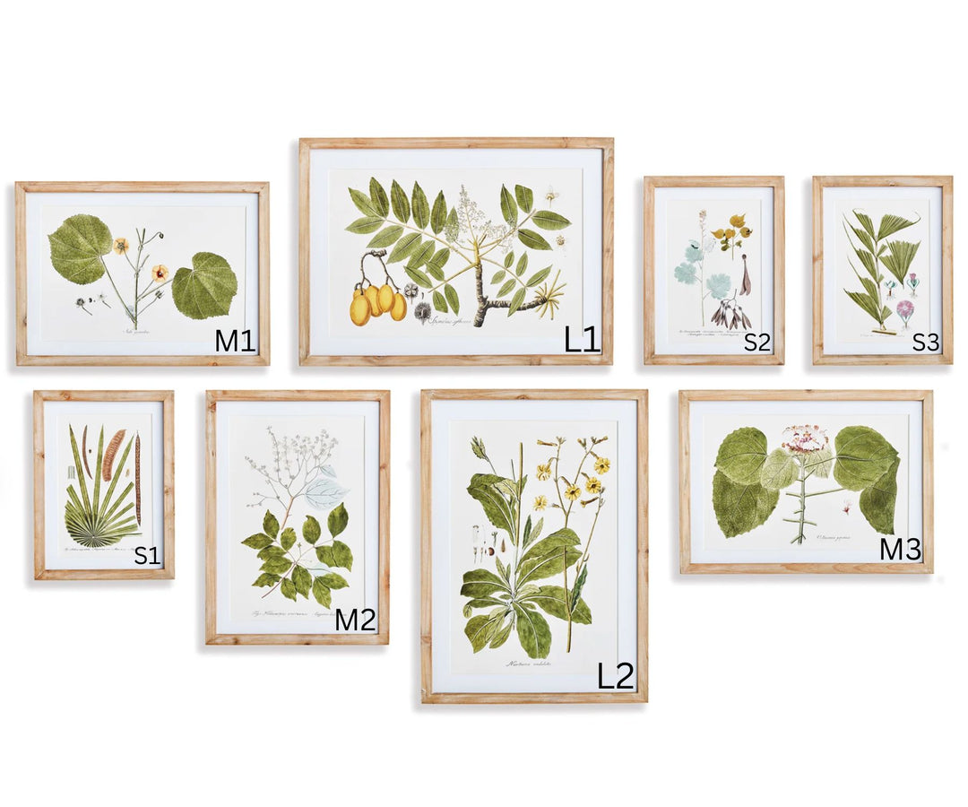 Floral and Fauna Gallery Prints Artwork Napa 