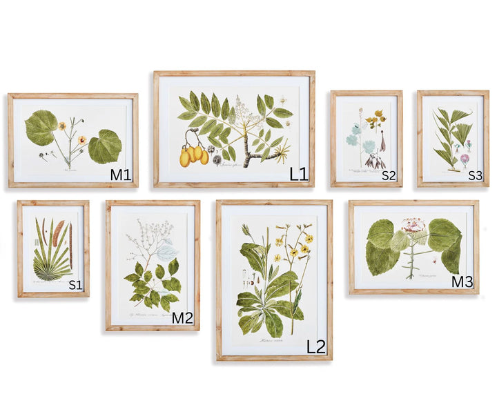 Floral and Fauna Gallery Prints Artwork Napa 