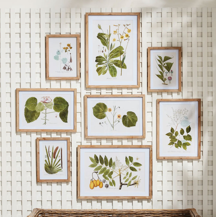 Floral and Fauna Gallery Prints Artwork Napa 
