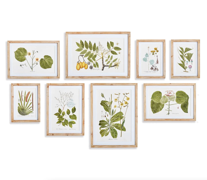 Floral and Fauna Gallery Prints Artwork Napa 