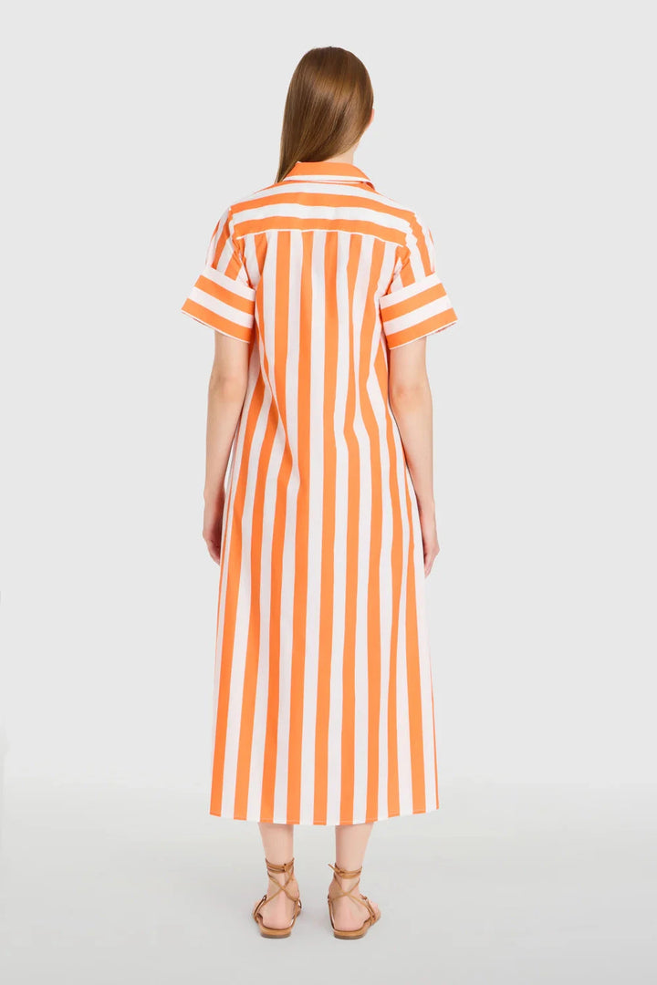 Gibbons Dress - Sunny Stripes Womens Dress Livro 