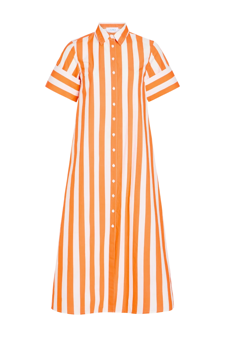 Gibbons Dress - Sunny Stripes Womens Dress Livro 