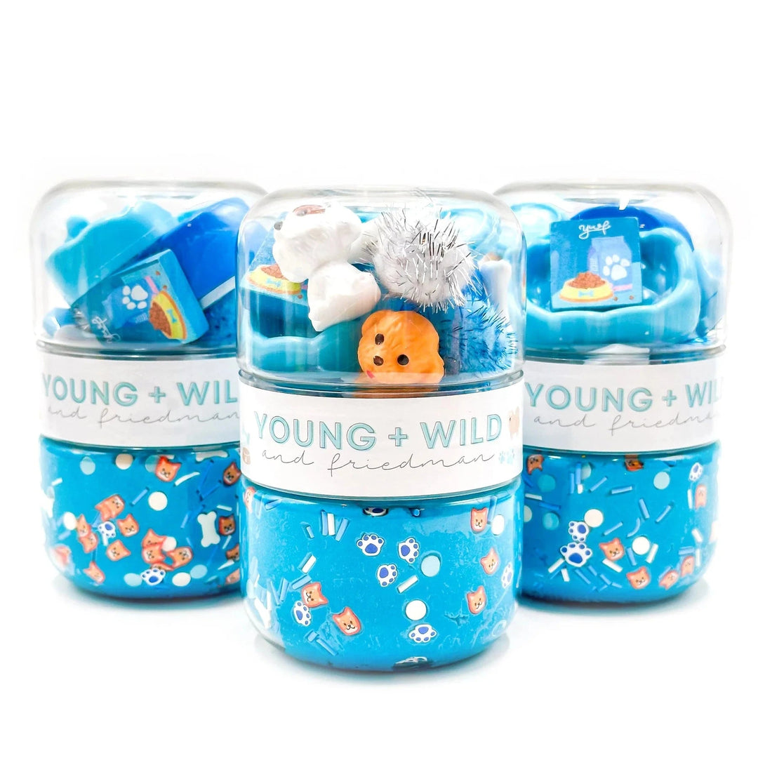 Grab & Go Dough Jar - Blue Pet Shop Toy Craft Kits Young Wild and Freidman 