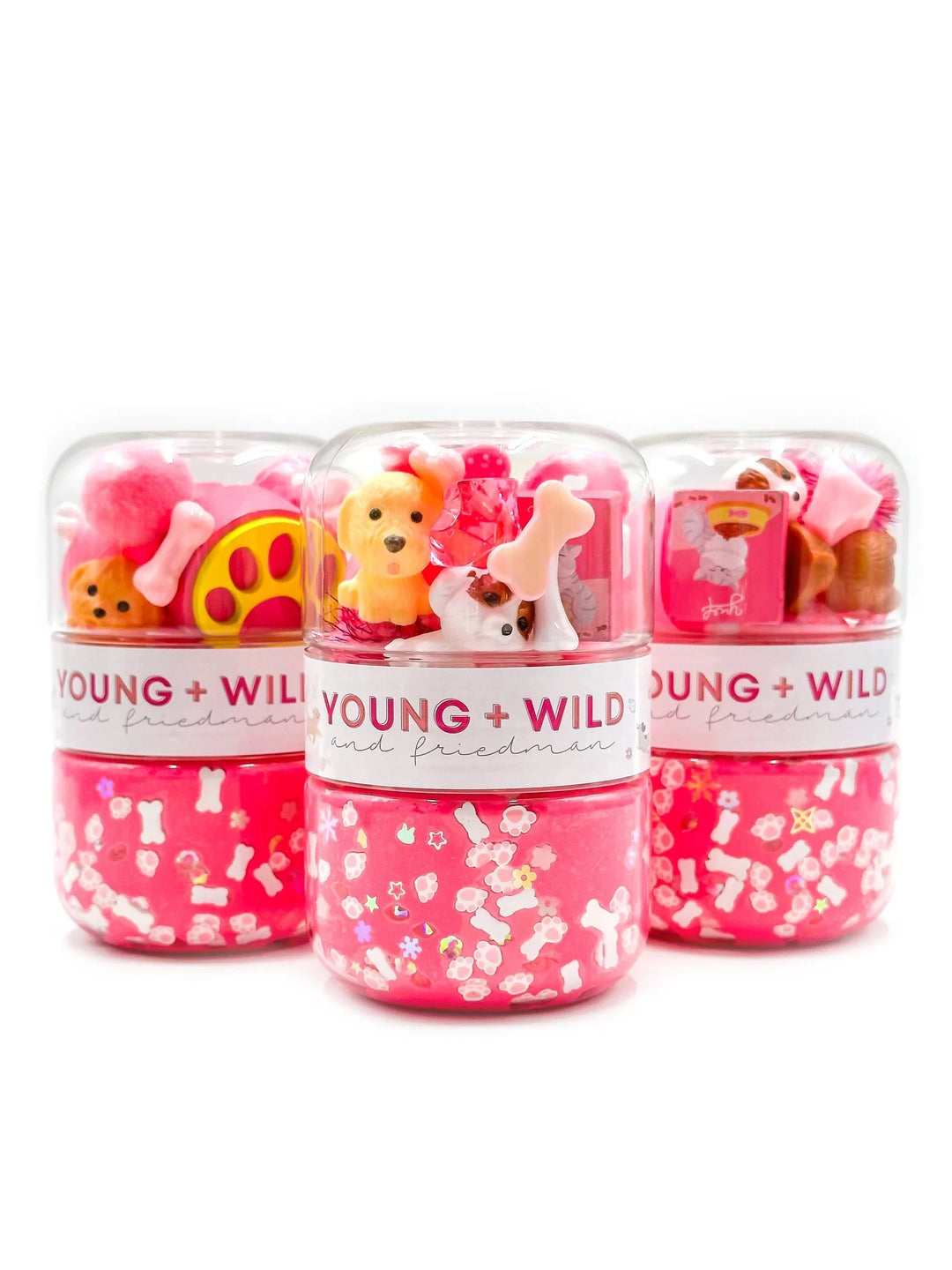 Grab & Go Dough Jar - Pink Pet Shop Toy Craft Kits Young Wild and Freidman 