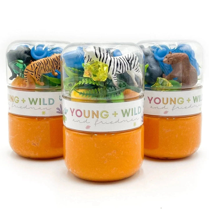 Grab & Go Dough Jar - Zoo Toy Craft Kits Young Wild and Freidman 