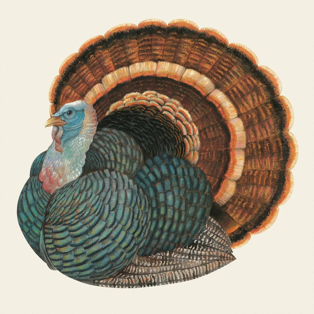 Heritage Turkey Cocktail Napkins Cocktail Napkins Hester and Cook 