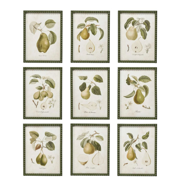 Hobnail Wood Framed Pear Prints Artwork Creative Co-Op 