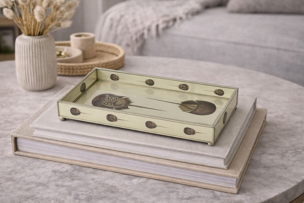 Horseshoe Crab Glass Tray Decorative Tray JM Piers 