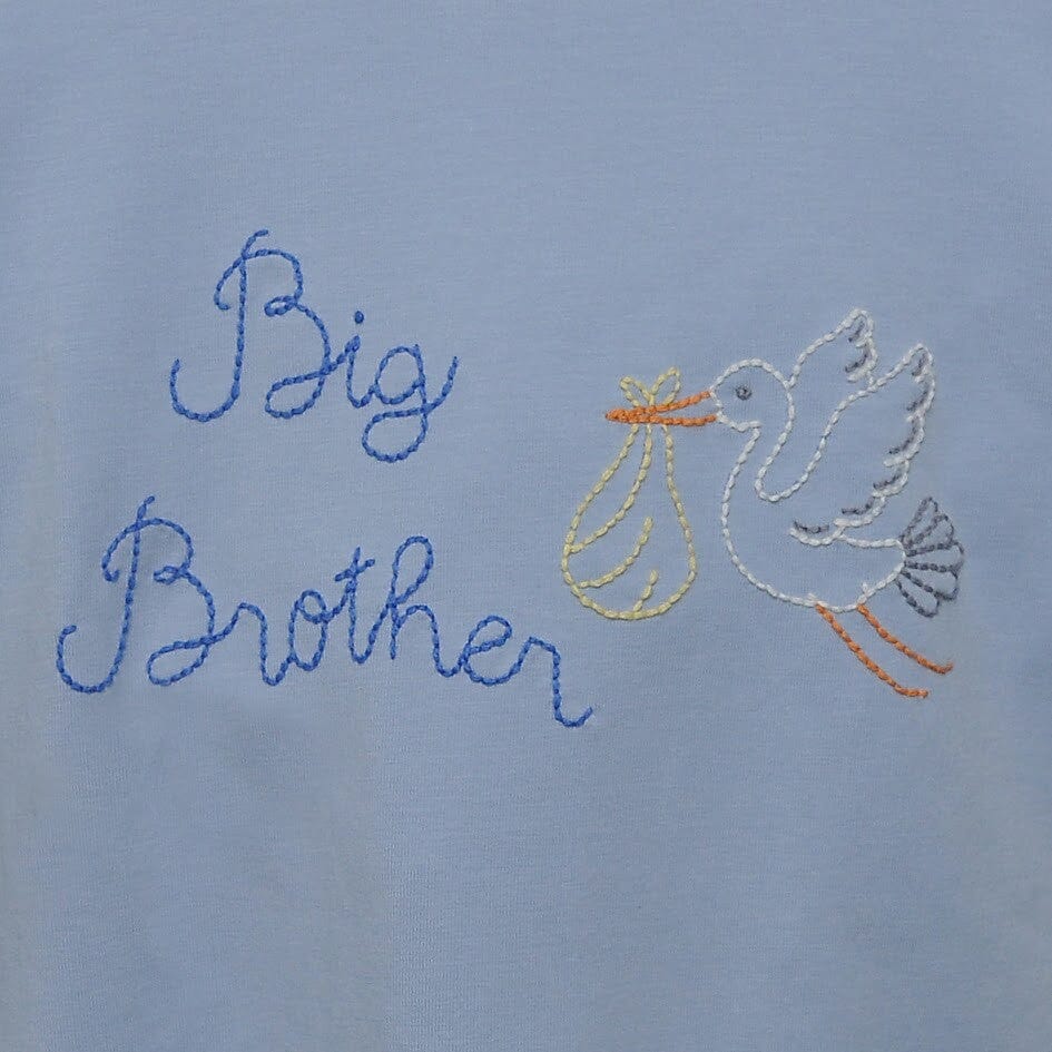 Houston Shirt - Big Brother with Stork Boy Shirt Remember Nguyen 