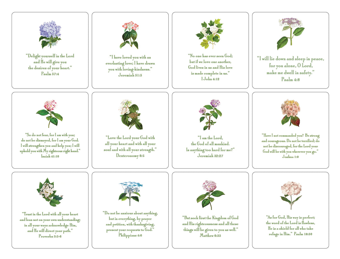 Hydrangea Verse Set 3" Stationery Maison de Papier 