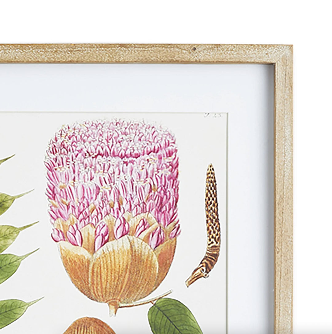 Leaf Botanical Study Prints Artwork Napa 