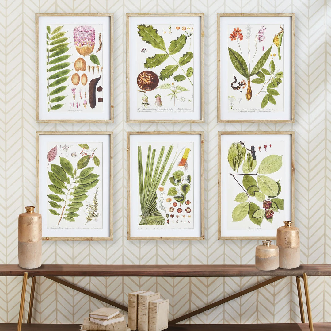 Leaf Botanical Study Prints Artwork Napa 