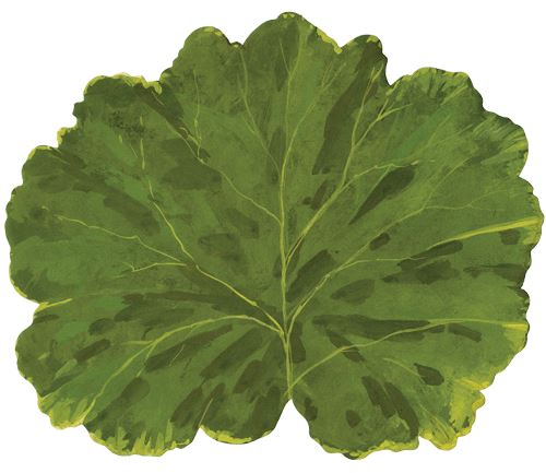 Leaf Paper Placemats Placemats Caspari 