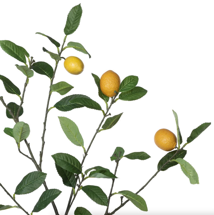 Lemon Branch - 46.5" Spring Decor Park Hill Collection 