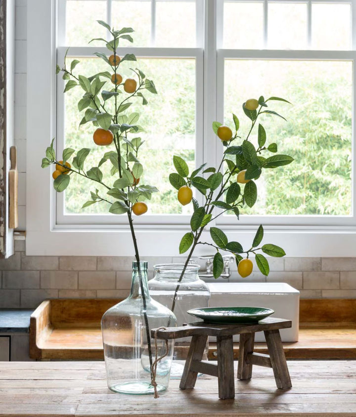 Lemon Branch - 46.5" Spring Decor Park Hill Collection 