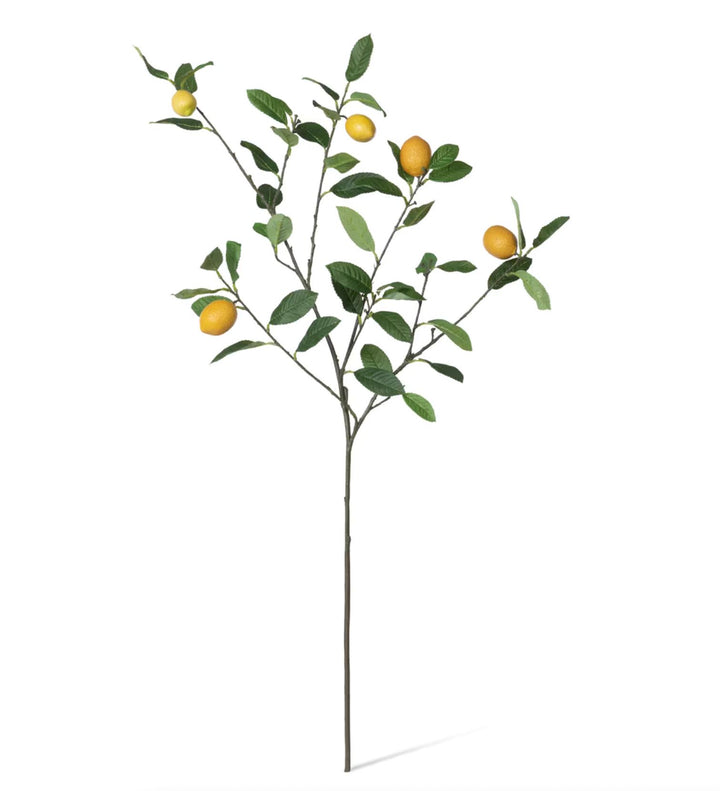 Lemon Branch - 46.5" Spring Decor Park Hill Collection 