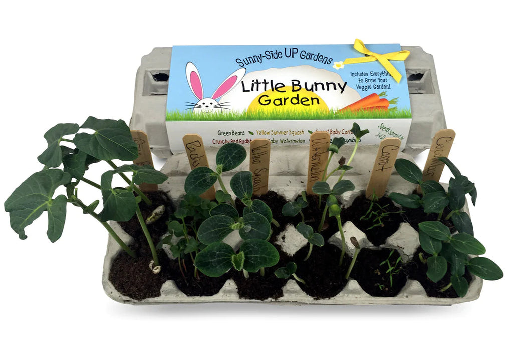 Little Bunny Garden Sunny Side Up Toy Craft Kits Backyard Safari Company 