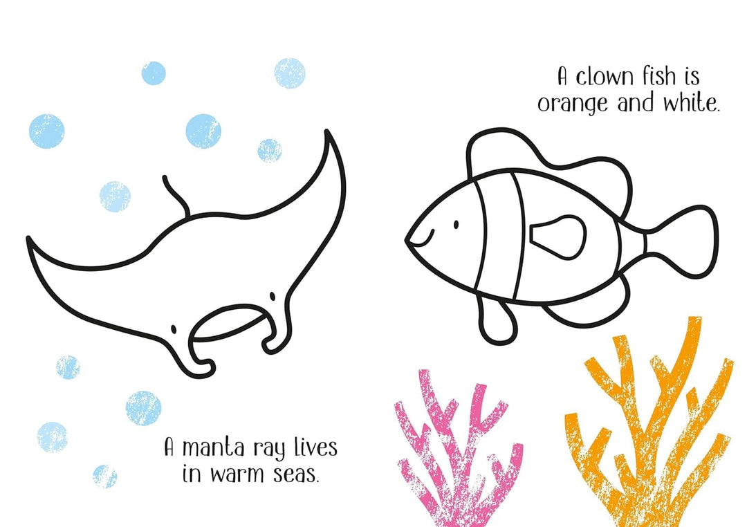 Little Coloring Book - Under the Sea Book Usborne 