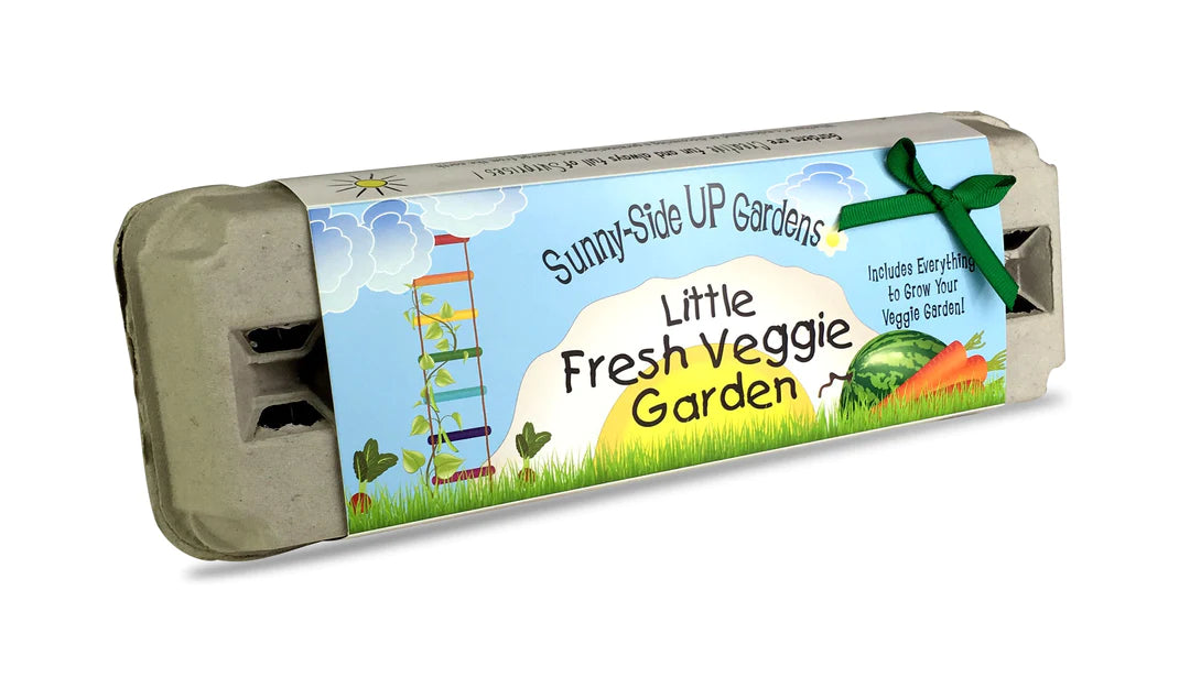 Little Fresh Veggie Garden Sunny Side Up Toy Craft Kits Backyard Safari Company 