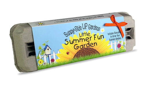 Little Summer Fun Sunny Side Up Toy Craft Kits Backyard Safari Company 