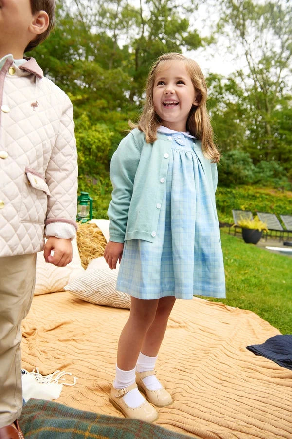 Mary Dal Dress - Audubon Park Plaid Girl Dress Beaufort Bonnet 
