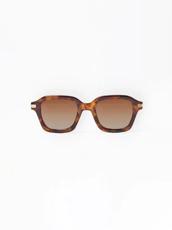 Mary Square Sunglasses Women's Sunglasses Mary Square Alyssa Tortoise 