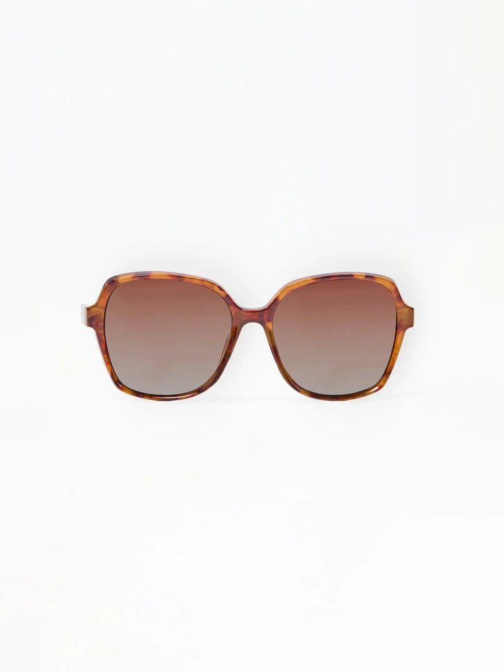 Mary Square Sunglasses Women's Sunglasses Mary Square Haley Tortoise 