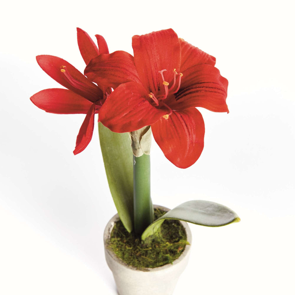 Mini Amaryllis Potted Drop-in 9" - Red Faux Florals Napa 