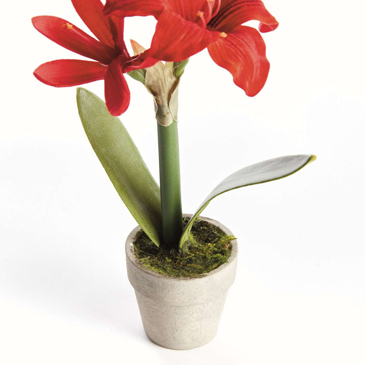 Mini Amaryllis Potted Drop-in 9" - Red Faux Florals Napa 