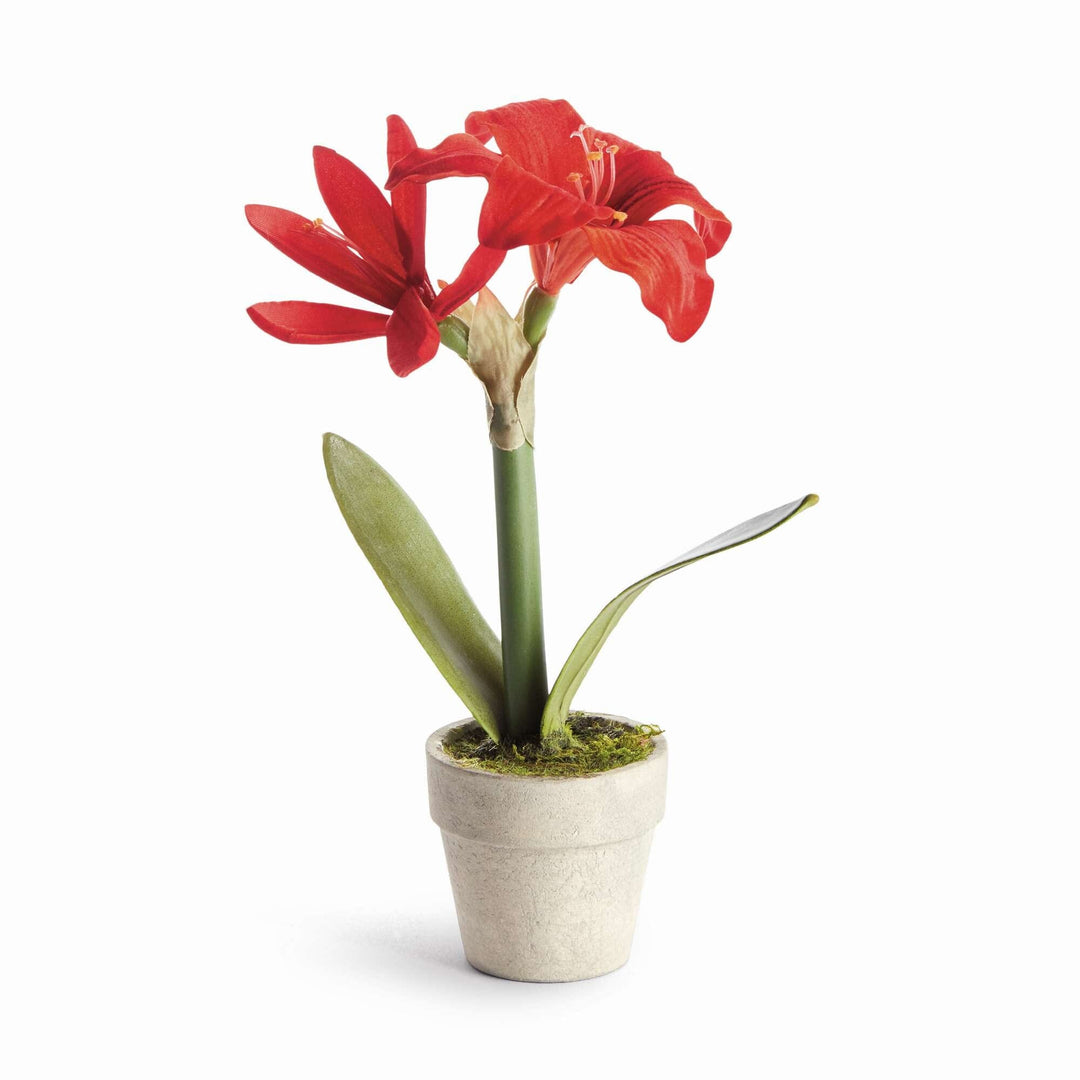 Mini Amaryllis Potted Drop-in 9" - Red Faux Florals Napa 