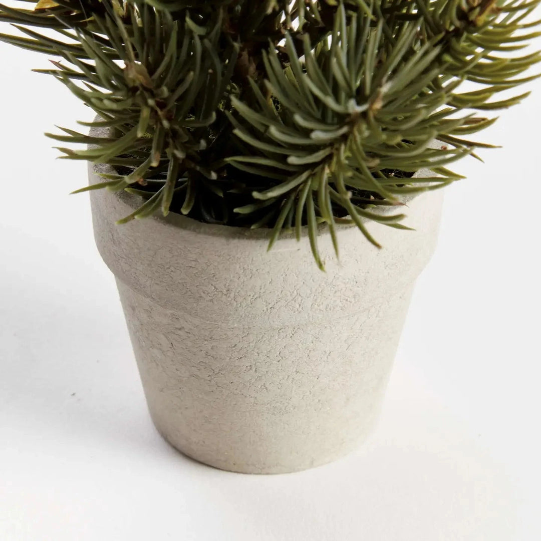 Mini Pine Tree Potted Drop-in 9" Faux Florals Napa 