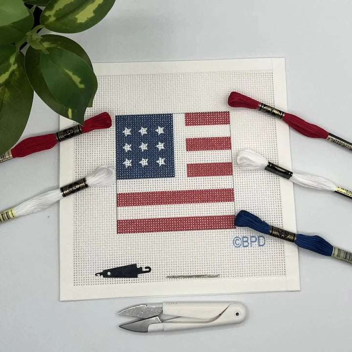 Needlepoint Kit - USA Flag needlepoint kit Blue Poppy Designs 