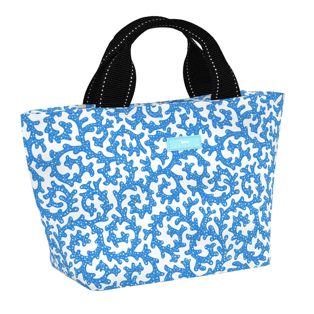 Nooner Lunch Box Lunch Boxes Scout Sweet Caroline 