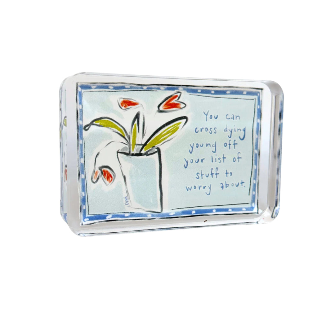 Not a Worry Acrylic Block Home Decor Lauren Dunn 