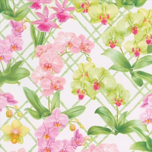 Orchid Conservatory Gift Wrap Roll Wrapping Paper Caspari 
