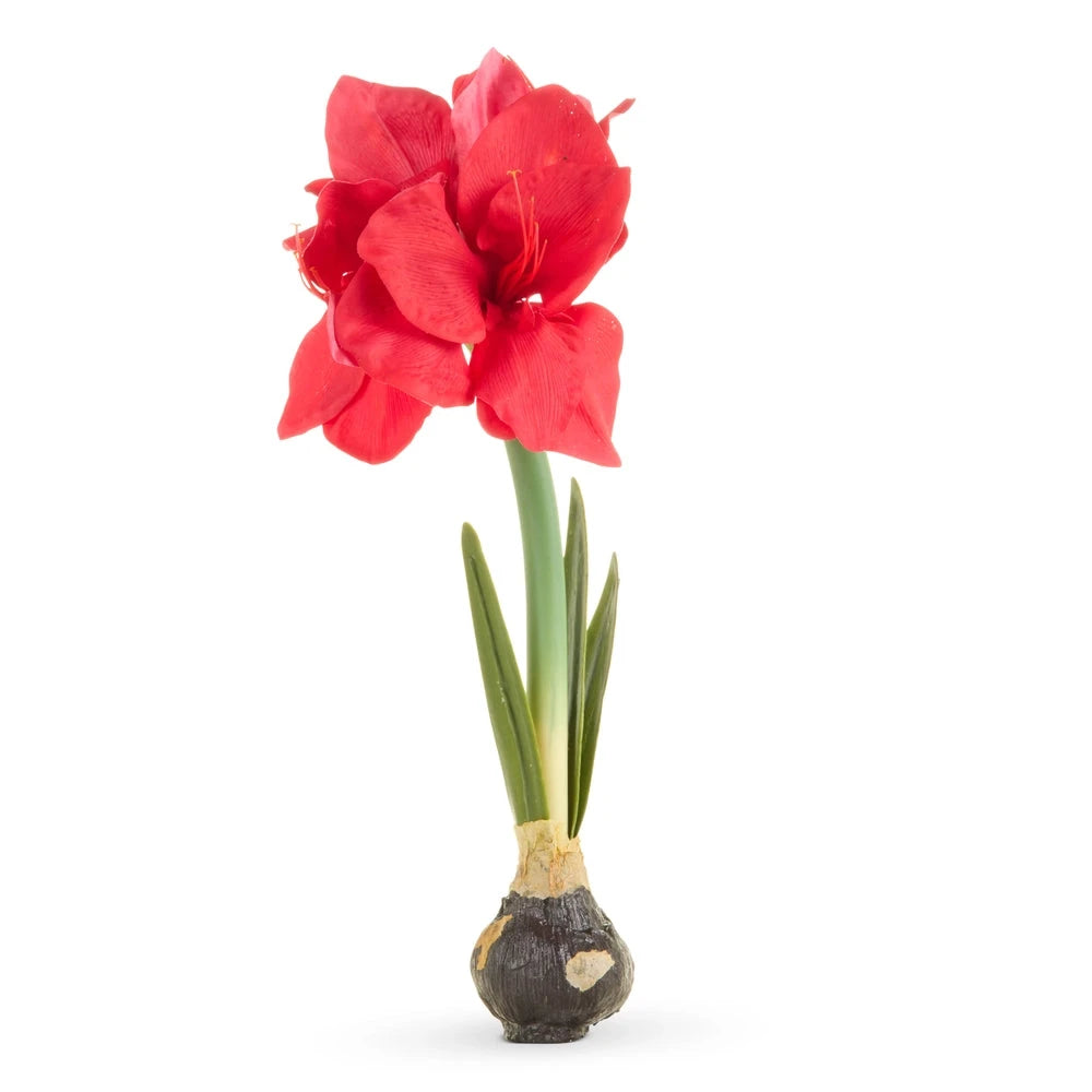 Real Touch Red Amaryllis Bulb Faux Florals RAZ 