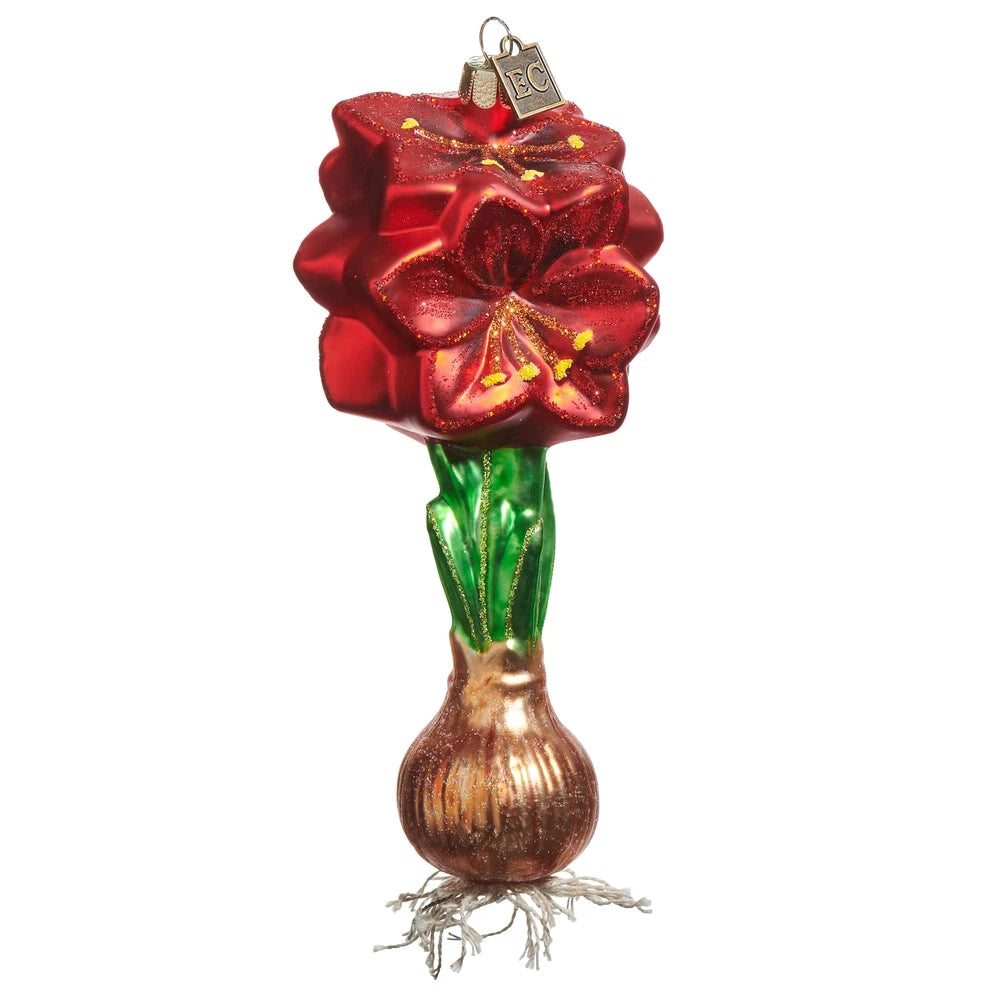 Red Amaryllis Bulb Ornament Ornament RAZ 