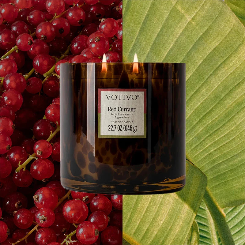 Red Currant Tortoise Candle Candle Votivo 