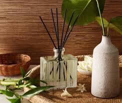 Reed Diffuser Set - Bamboo Home Fragrances Nest 