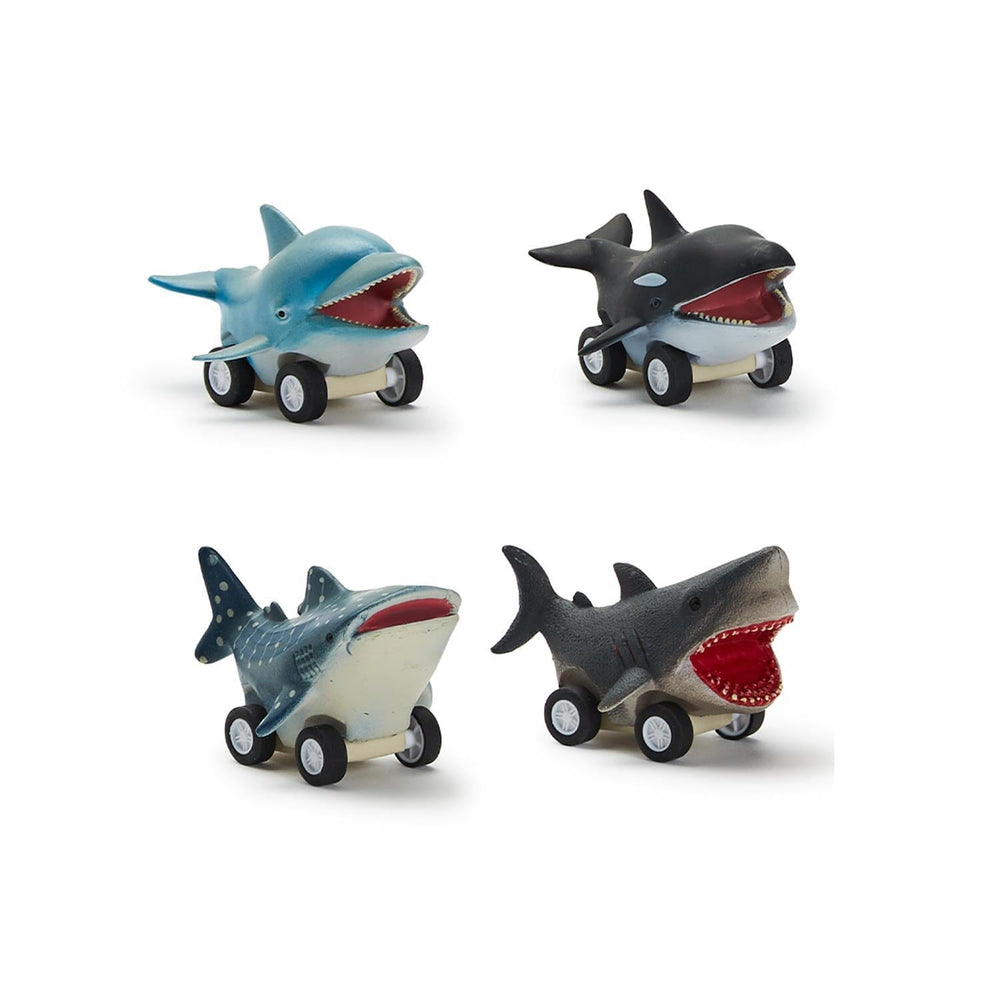 Reef Fish Pull Back Racer Activity Toy Two's Company 