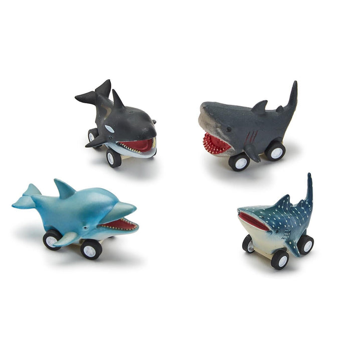 Reef Fish Pull Back Racer Activity Toy Two's Company 