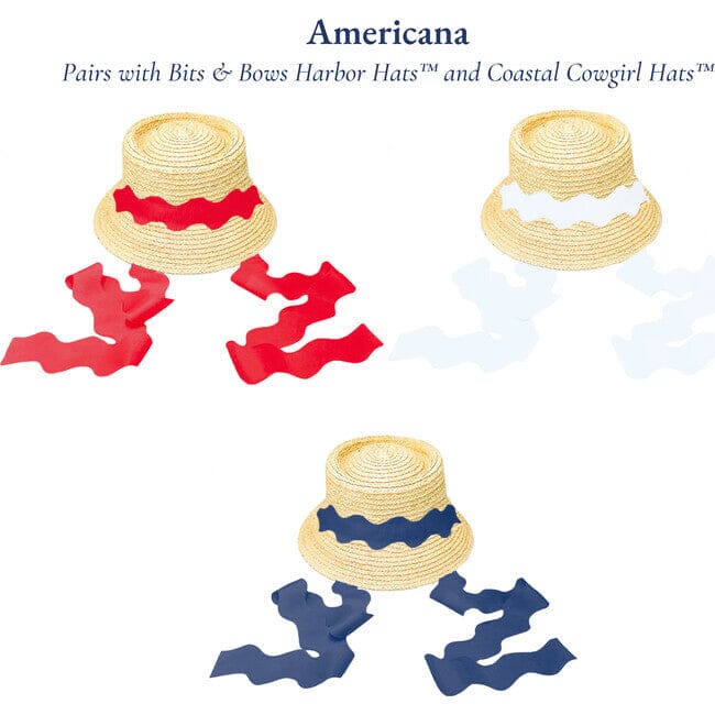 Scalloped Ribbon Set - Americana Ribbon Bits & Bows 