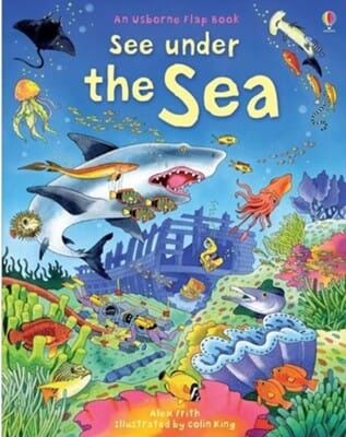 See Under the Sea Book Usborne 