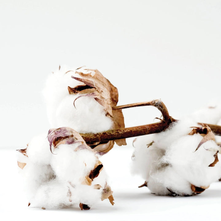 Seersucker Bubble Bath Bath Soap Salacia Salts 