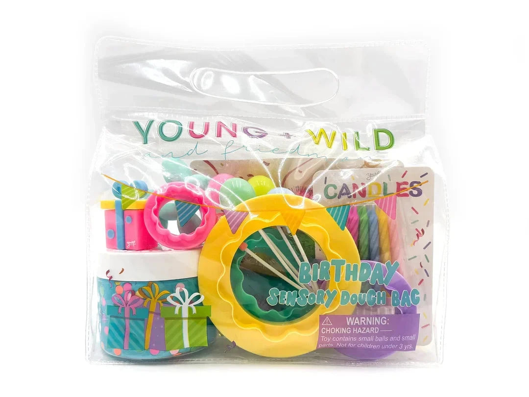Sensory Dough Bag - Birthday Toy Craft Kits Young Wild and Freidman 