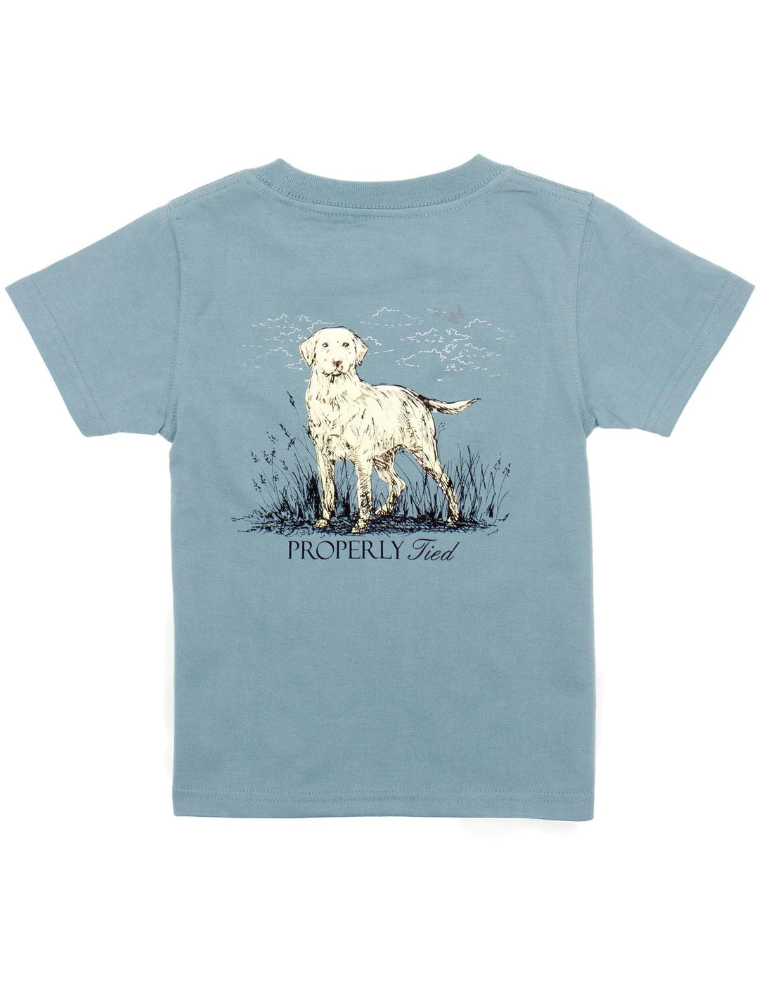 Short Sleeve Tee - Labrador Steel Blue Boy Shirt Properly Tied 