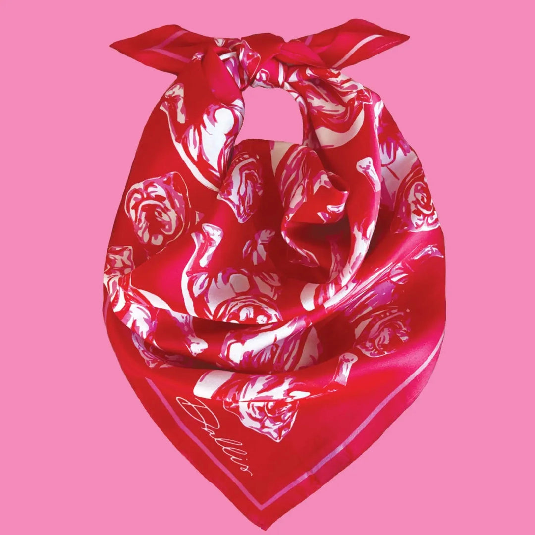Sic 'em Gameday Scarf - Red & Pink Scarf Dallis Foshee 